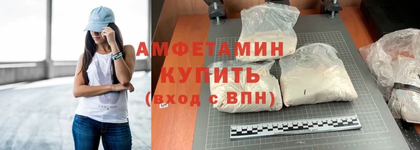стаф Абаза